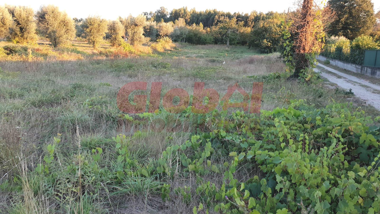 Lote de Terreno  Venda em Rio de Loba,Viseu