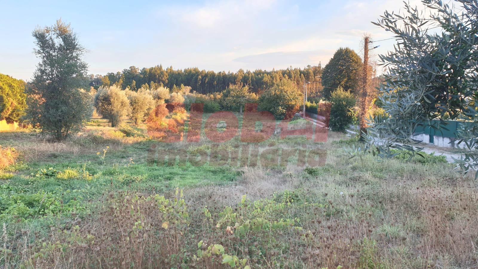 Lote de Terreno  Venda em Rio de Loba,Viseu