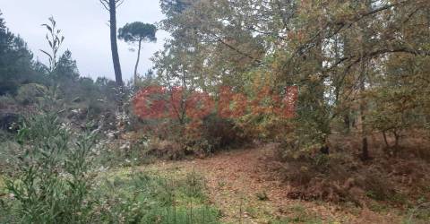 Terreno  Venda em São João de Lourosa,Viseu