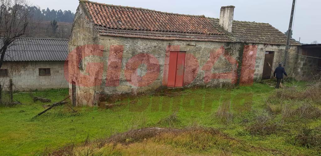 Quinta  Venda em Espinho,Mangualde