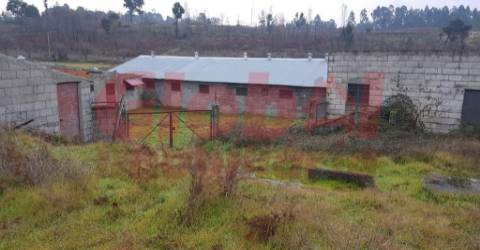 Quinta  Venda em Espinho,Mangualde
