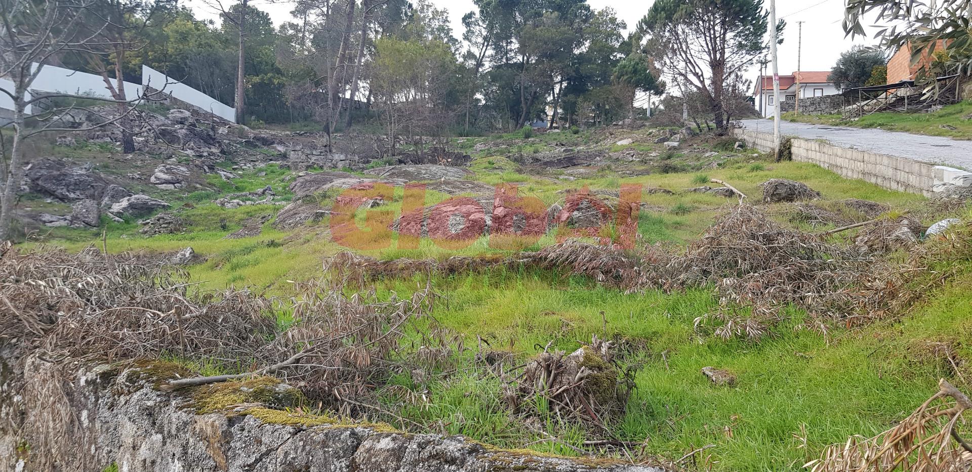 Terreno Para Construção  Venda em Silgueiros,Viseu