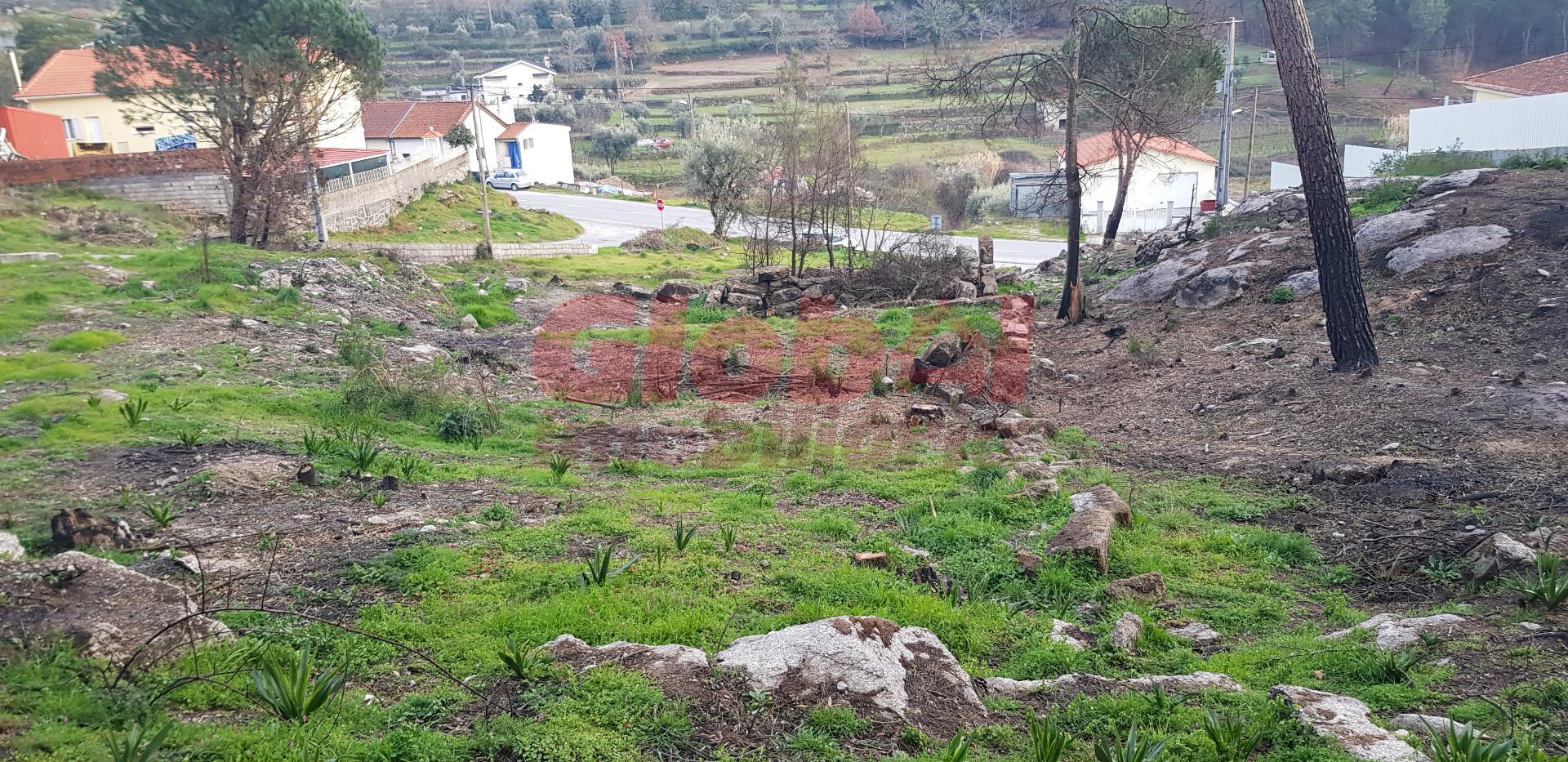 Terreno Para Construção  Venda em Silgueiros,Viseu