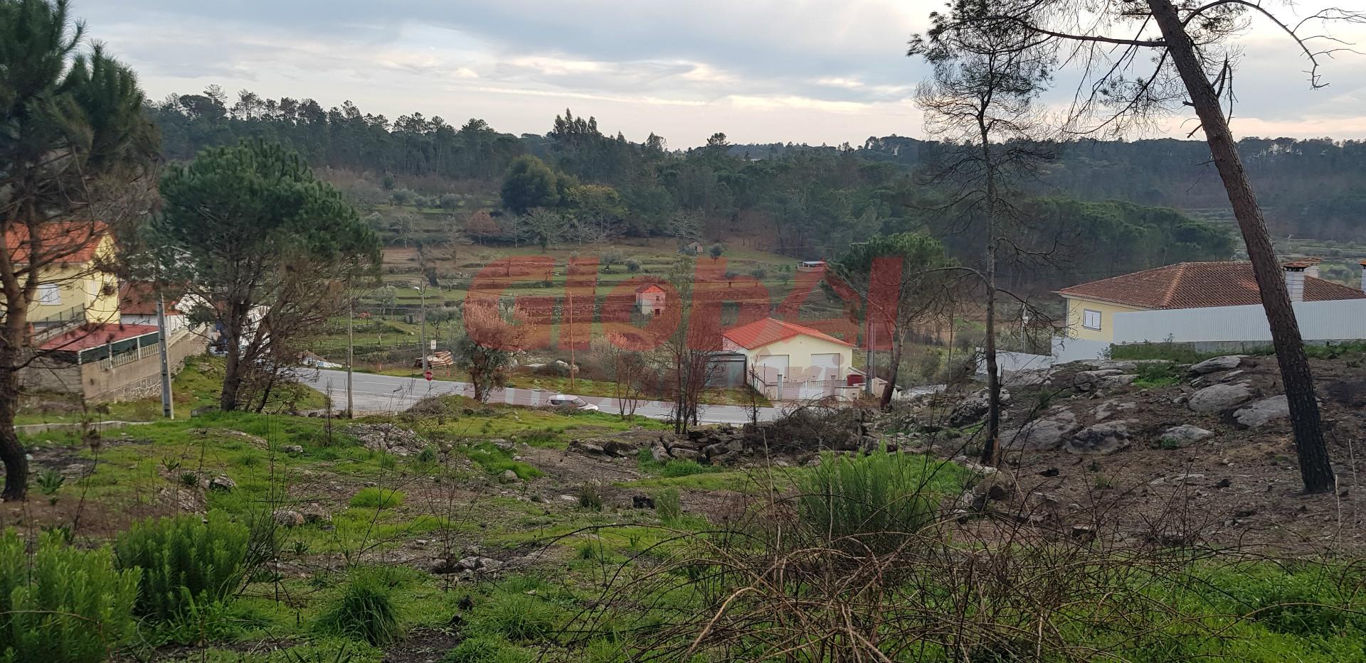 Terreno Para Construção  Venda em Silgueiros,Viseu