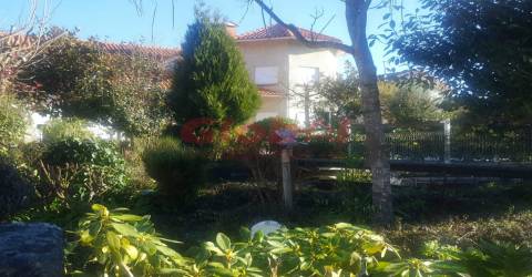Moradia Isolada T4 Venda em Bodiosa,Viseu