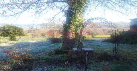 Moradia Isolada T4 Venda em Bodiosa,Viseu