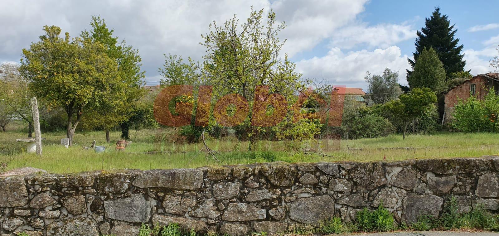 Lote de Terreno  Venda em Canas de Santa Maria,Tondela