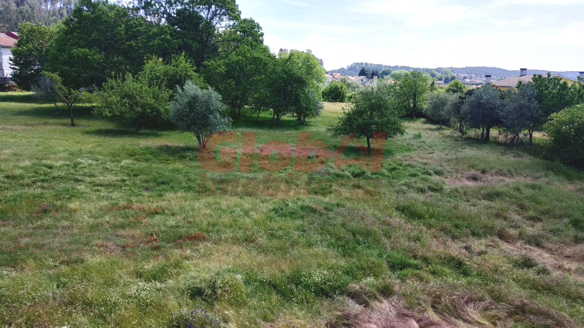 Quinta  Venda em Campo,Viseu