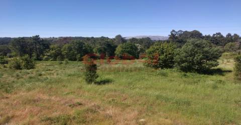 Terreno Misto  Venda em Bodiosa,Viseu
