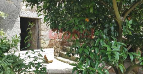Moradia Devoluta  Venda em Fragosela,Viseu