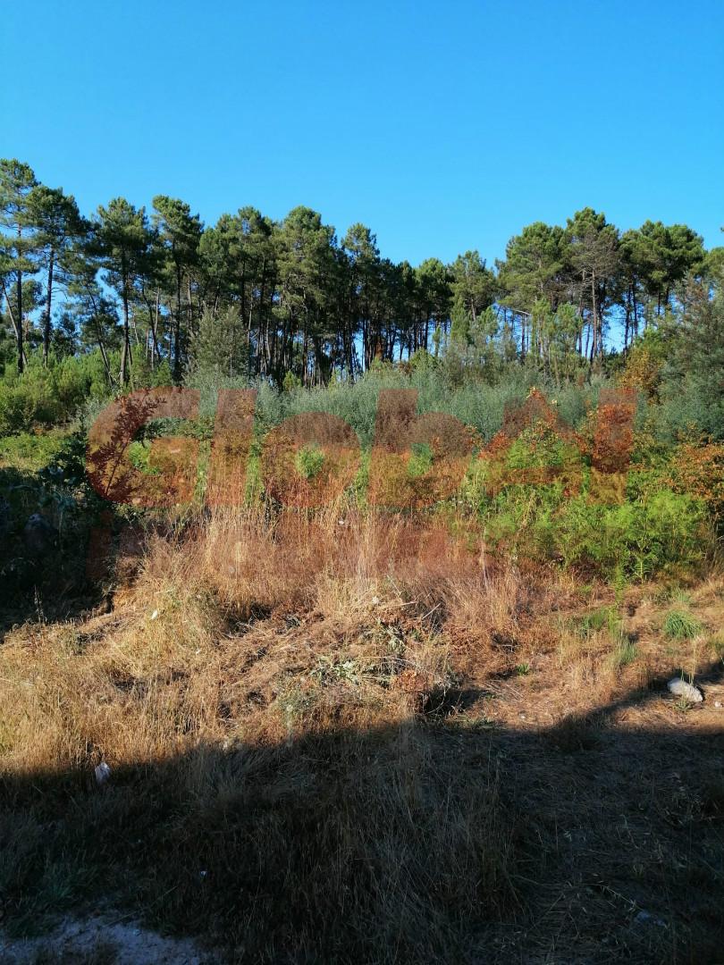 Lote de Terreno  Venda em Rio de Loba,Viseu