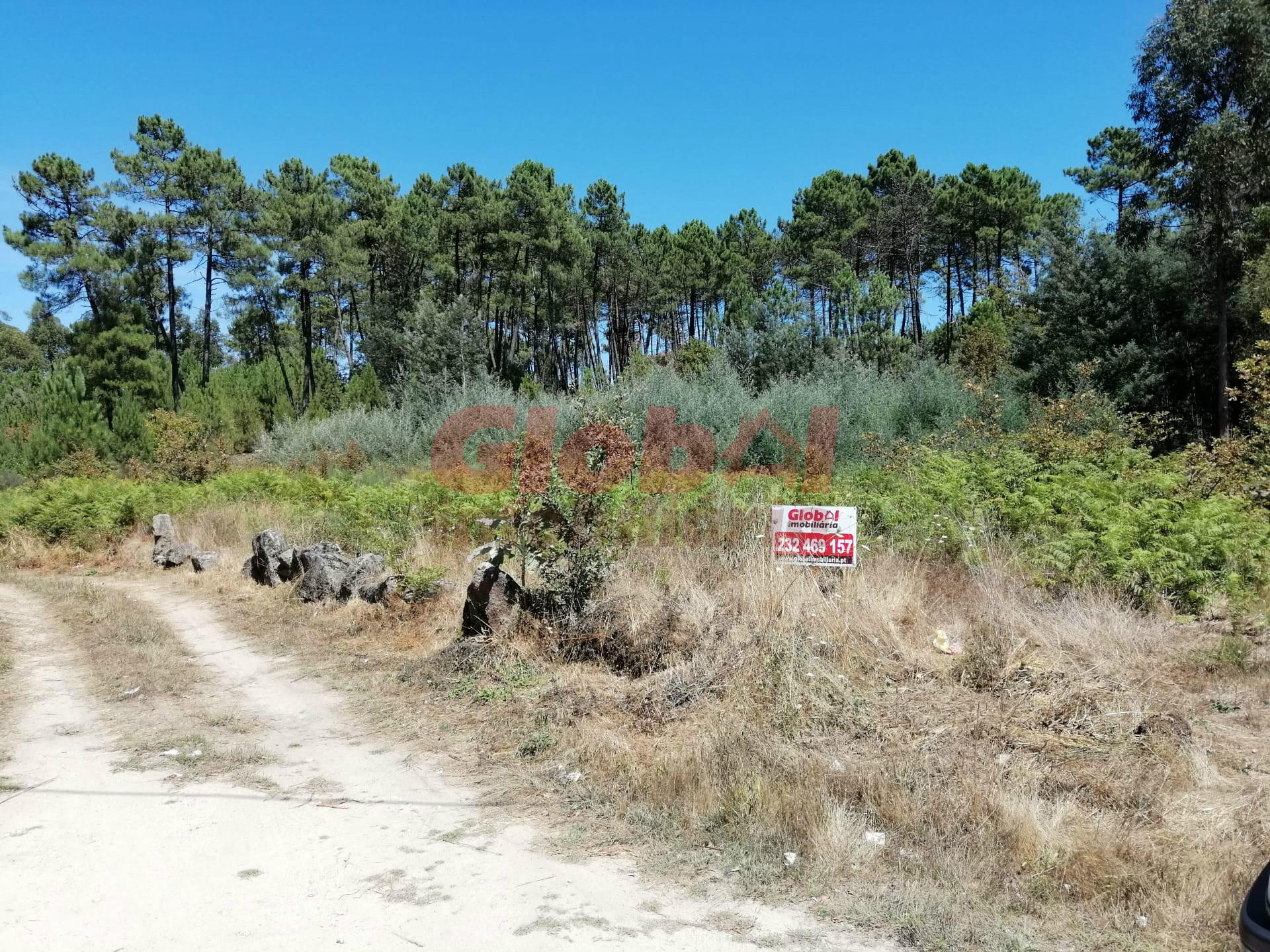 Lote de Terreno  Venda em Rio de Loba,Viseu