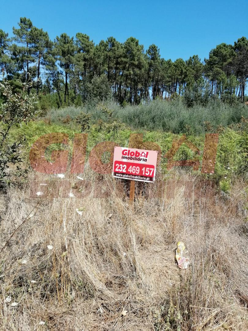 Lote de Terreno  Venda em Rio de Loba,Viseu