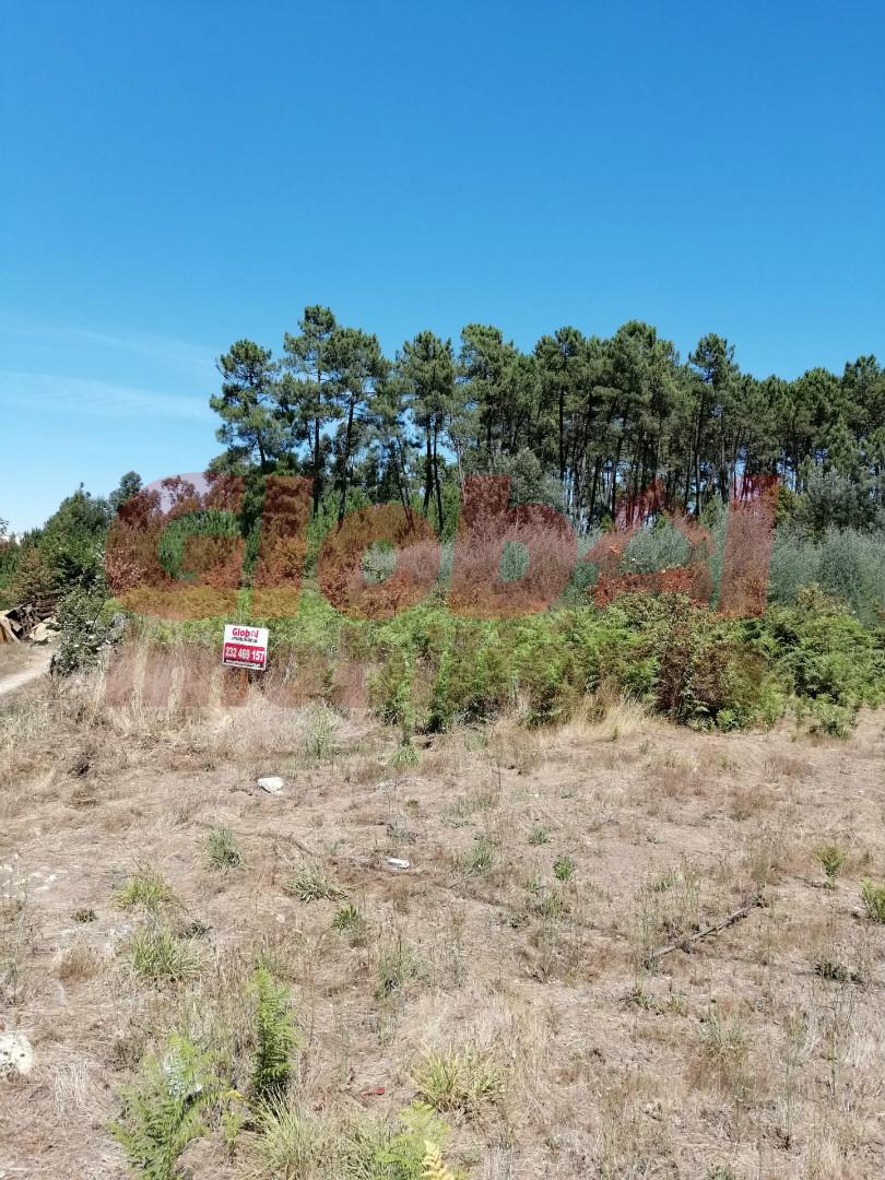 Lote de Terreno  Venda em Rio de Loba,Viseu