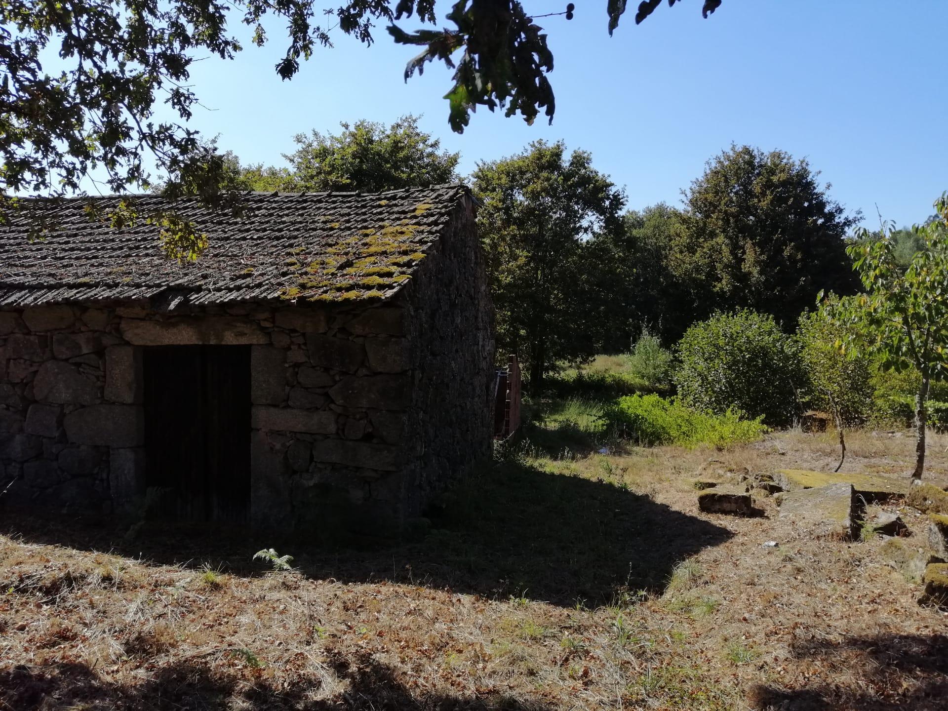 Terreno Rústico  Venda em Couto de Baixo e Couto de Cima,Viseu