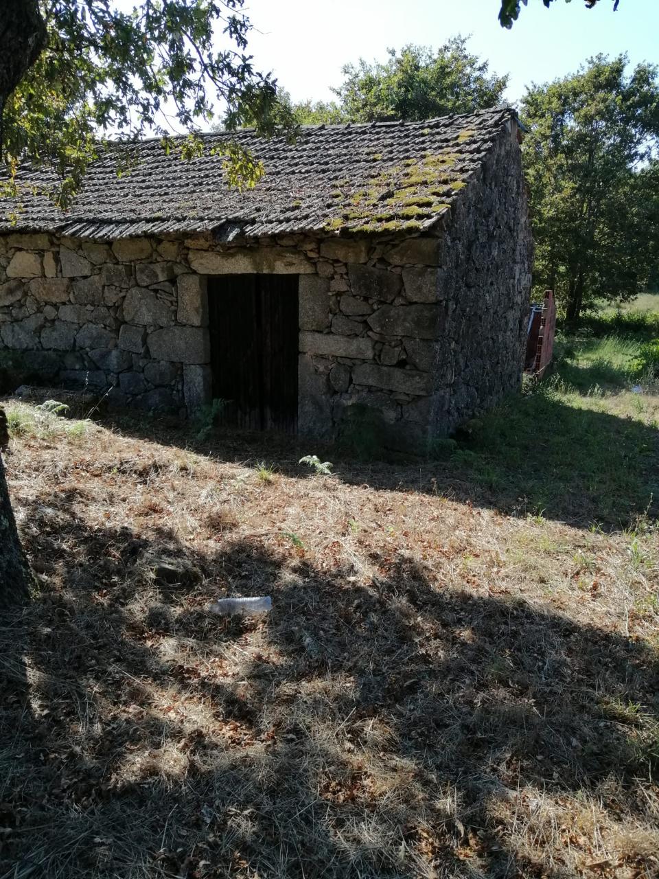 Terreno Rústico  Venda em Couto de Baixo e Couto de Cima,Viseu