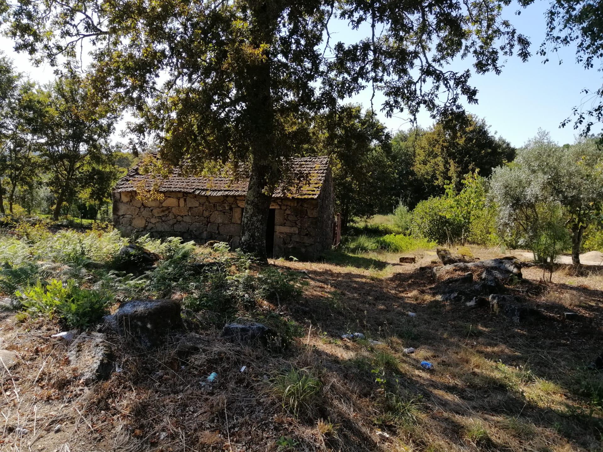 Terreno Rústico  Venda em Couto de Baixo e Couto de Cima,Viseu