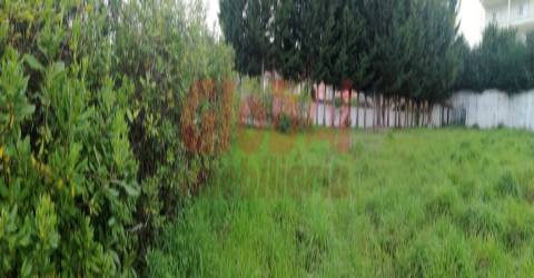 Terreno Para Construção  Venda em Couto de Baixo e Couto de Cima,Viseu