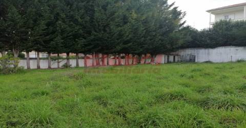 Terreno Para Construção  Venda em Couto de Baixo e Couto de Cima,Viseu