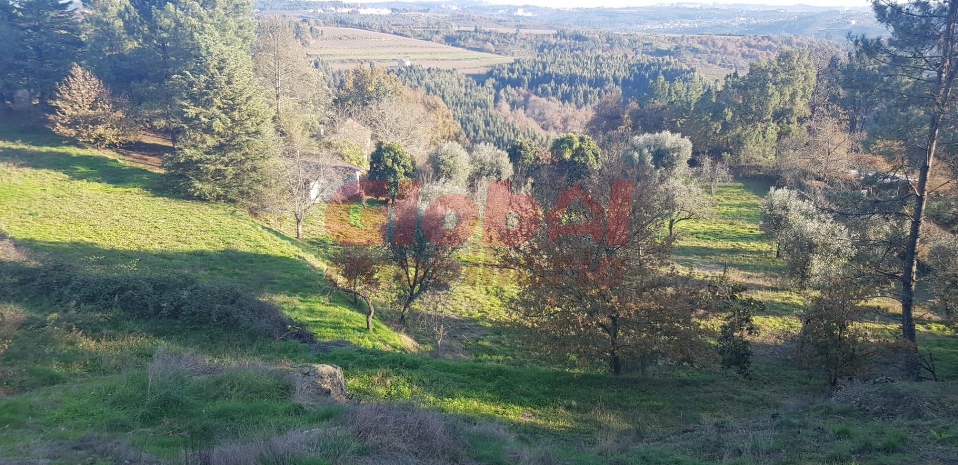 Quinta  Venda em Santos Evos,Viseu