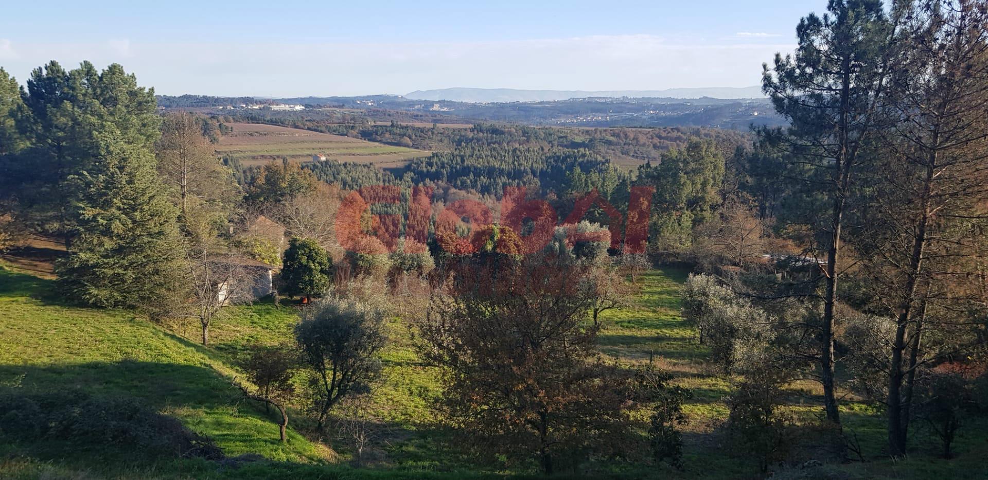 Quinta  Venda em Santos Evos,Viseu