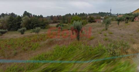 Terreno Rústico  Venda em Rio de Loba,Viseu