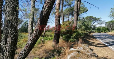 Terreno  Venda em Ranhados,Viseu