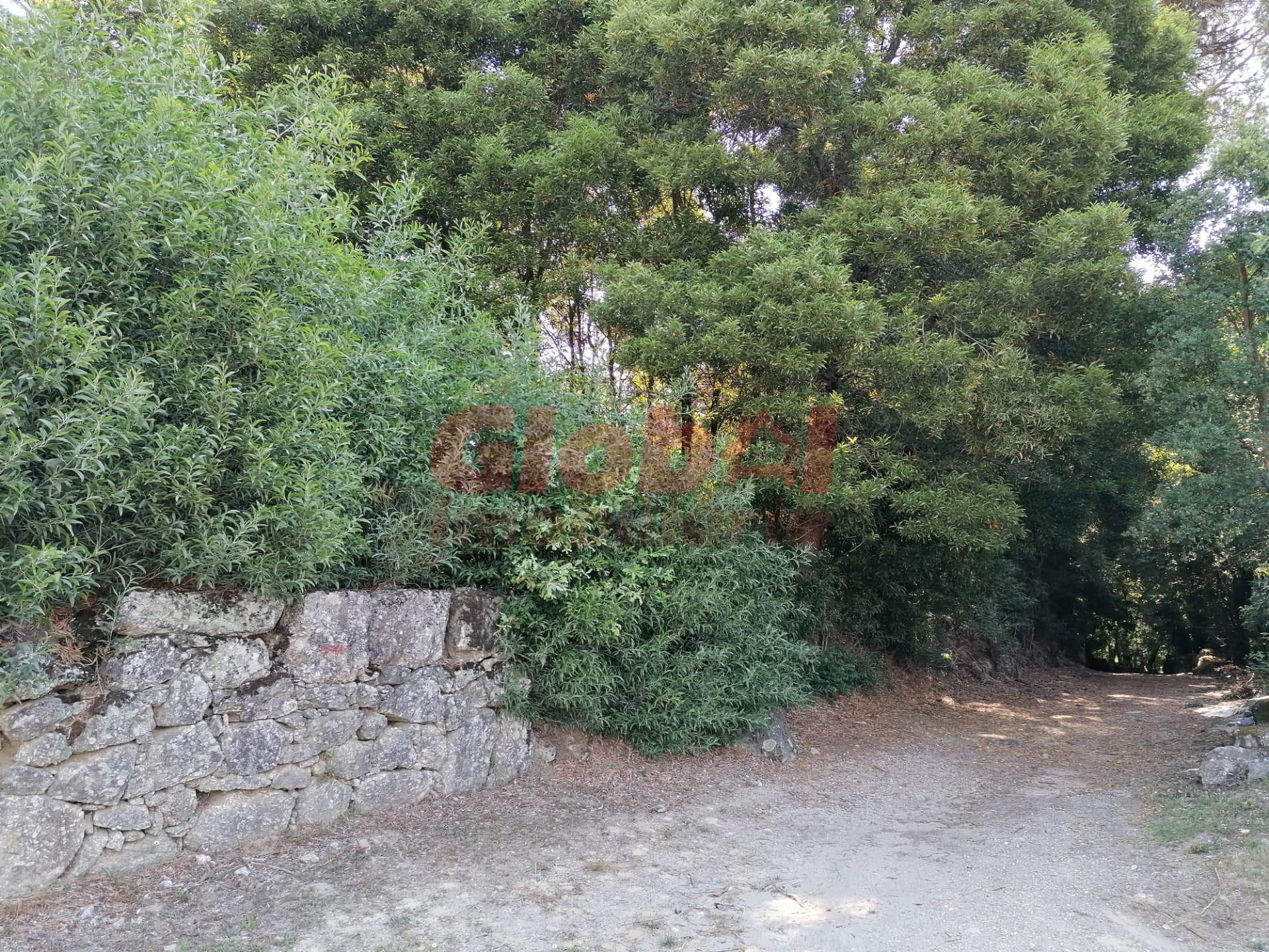 Terreno  Venda em Ranhados,Viseu