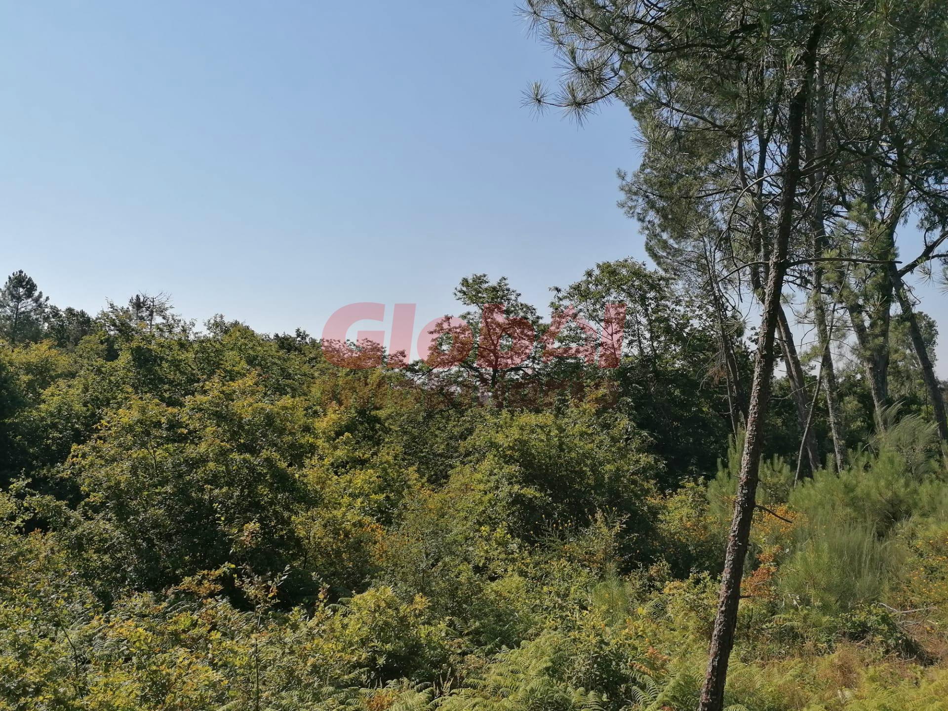 Terreno  Venda em Ranhados,Viseu