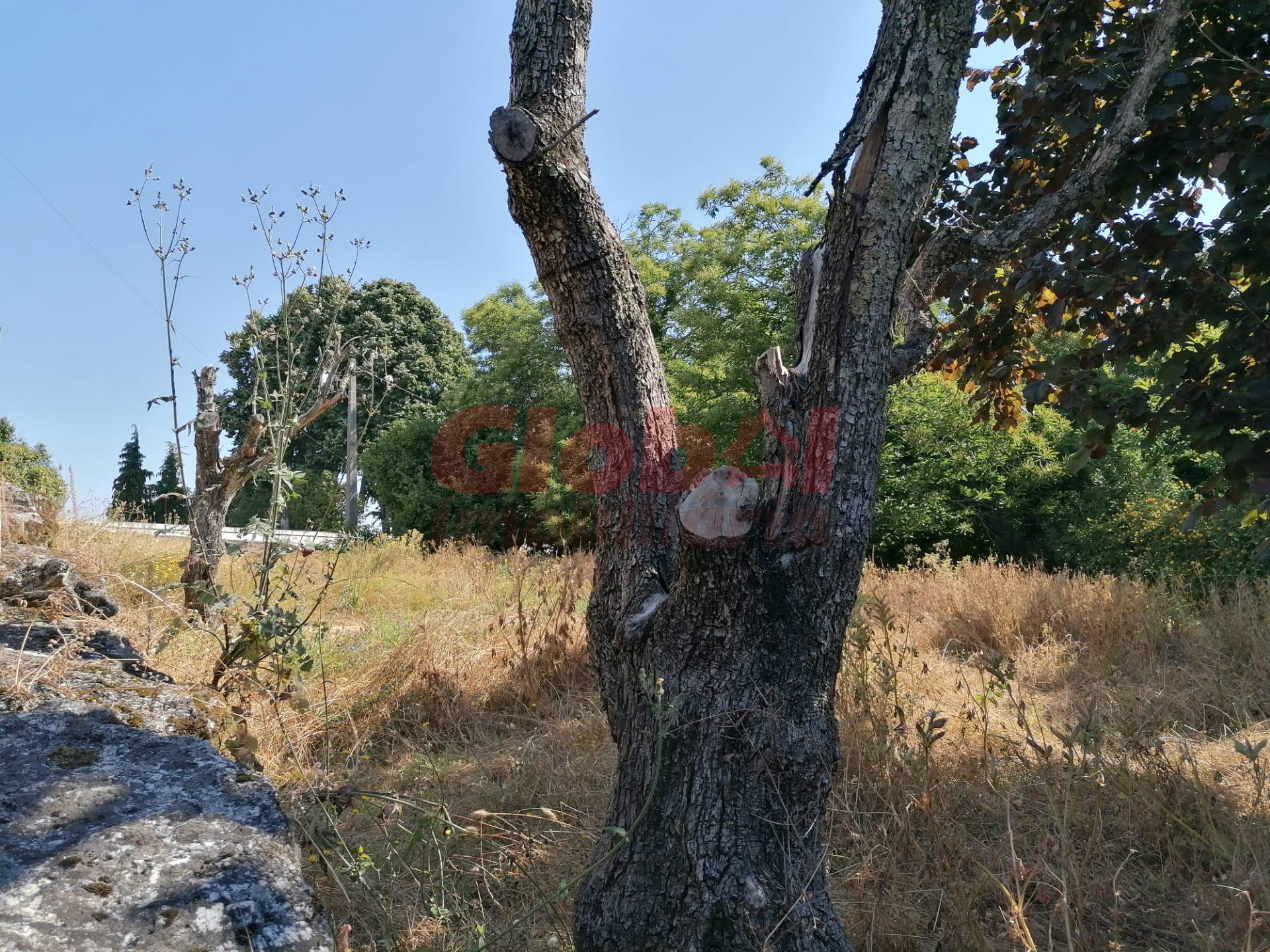 Terreno  Venda em Ranhados,Viseu