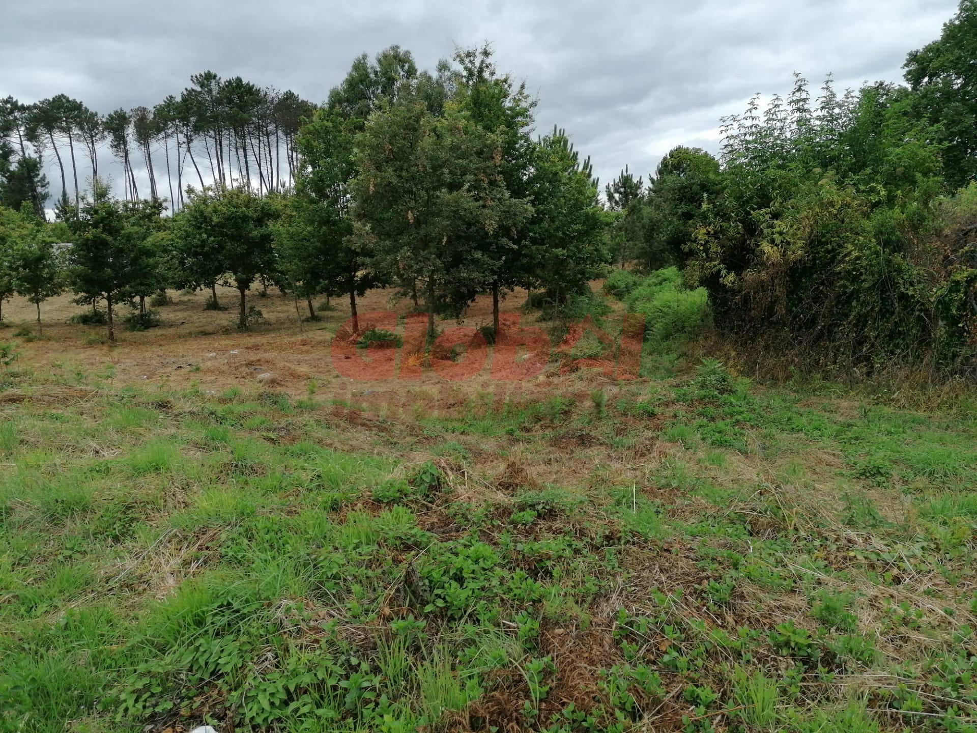 Terreno Para Construção  Venda em Campo,Viseu