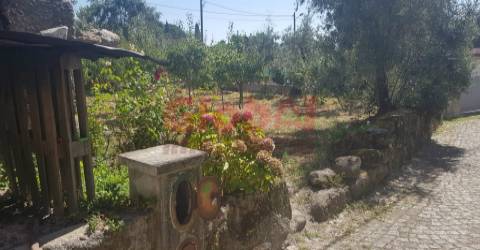 Moradia Devoluta T1 Venda em São João de Lourosa,Viseu