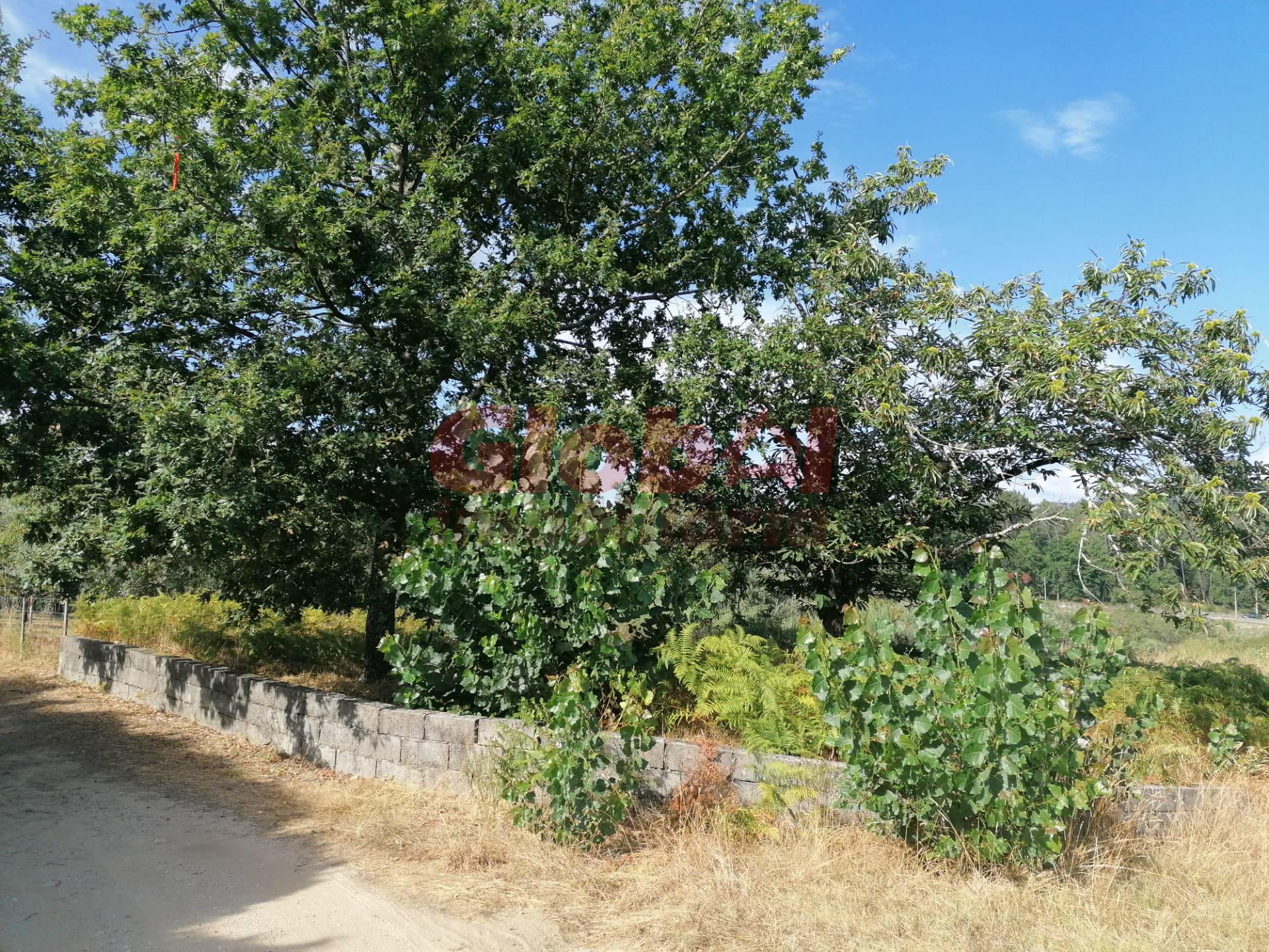 Terreno Rústico  Venda em São Cipriano e Vil de Souto,Viseu