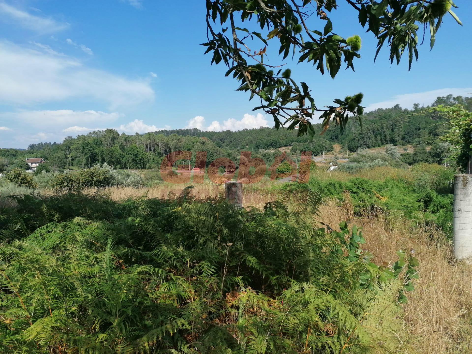 Terreno Rústico  Venda em São Cipriano e Vil de Souto,Viseu