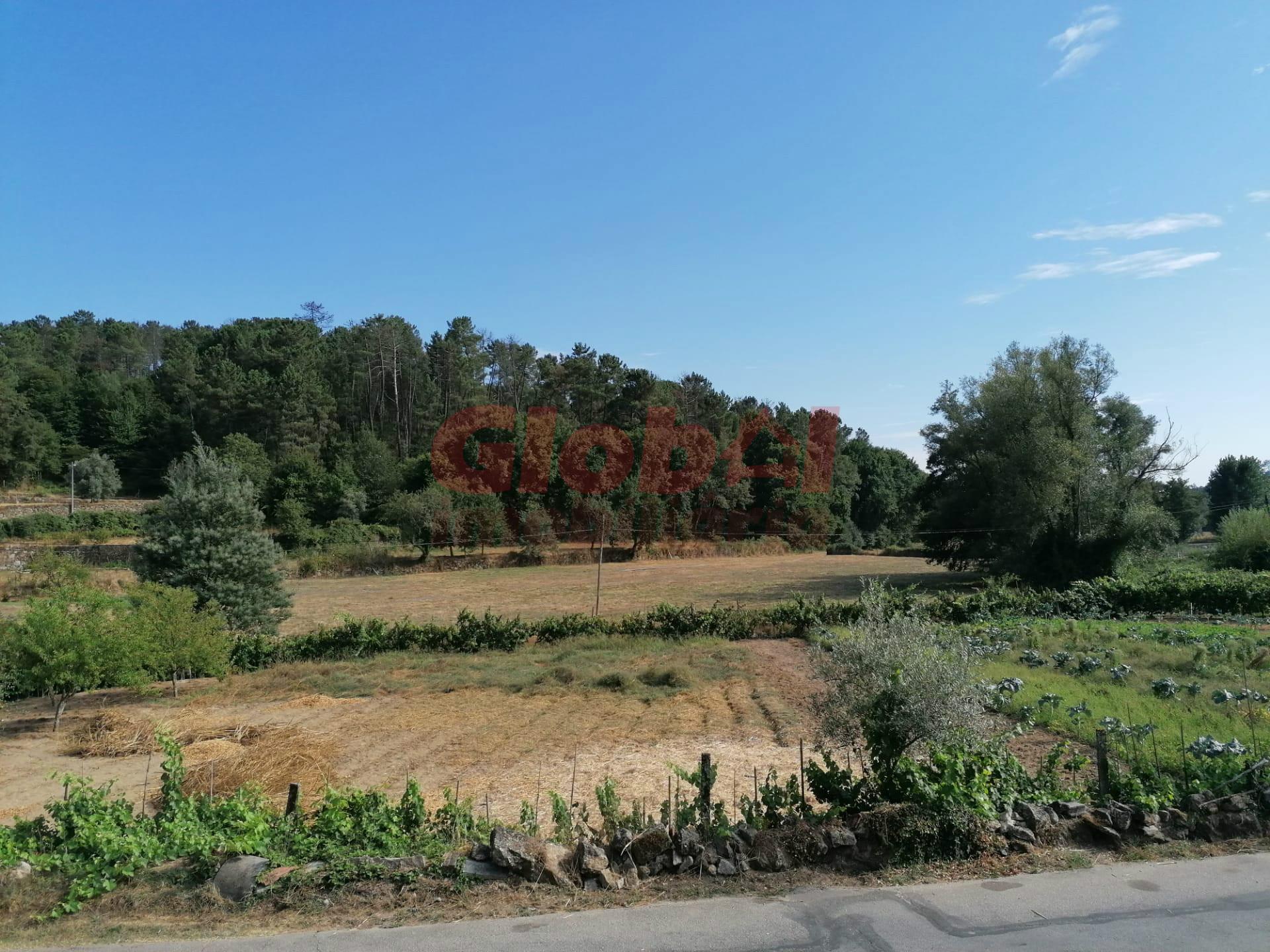 Terreno Misto  Venda em São Cipriano e Vil de Souto,Viseu