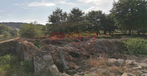 Terreno Misto  Venda em São Cipriano e Vil de Souto,Viseu