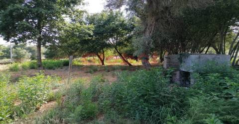 Terreno Misto  Venda em São Cipriano e Vil de Souto,Viseu