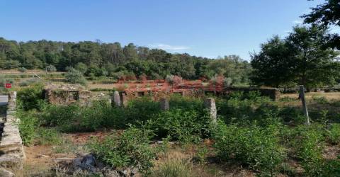 Terreno Misto  Venda em São Cipriano e Vil de Souto,Viseu
