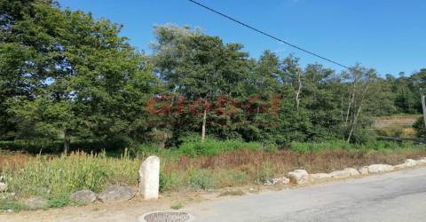 Terreno Misto  Venda em São Cipriano e Vil de Souto,Viseu