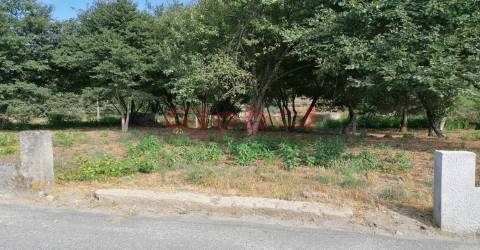 Terreno Misto  Venda em São Cipriano e Vil de Souto,Viseu