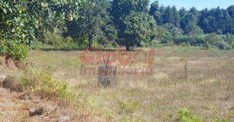 Terreno Para Construção  Venda em Couto de Baixo e Couto de Cima,Viseu