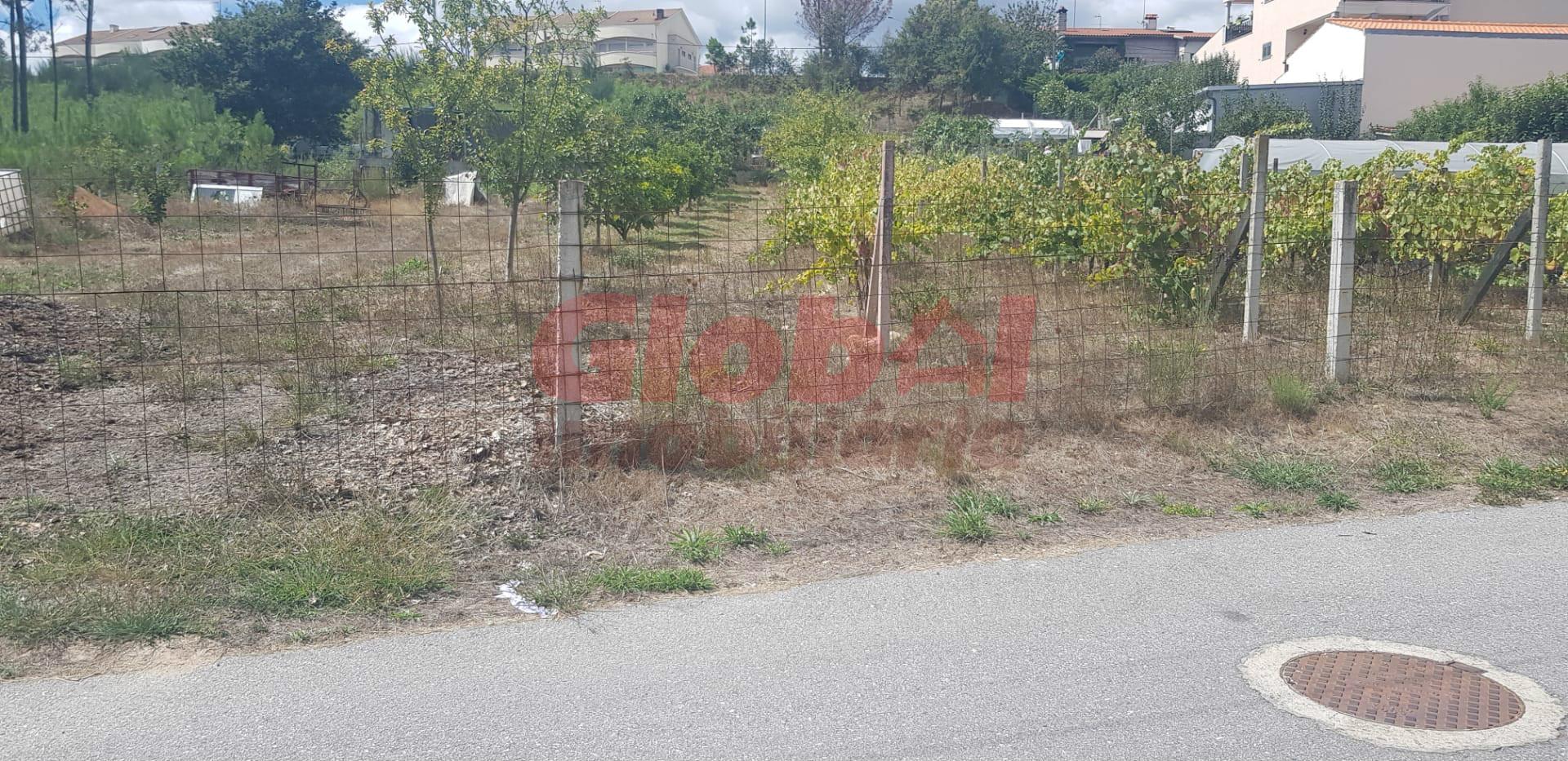 Terreno Para Construção  Venda em Campo,Viseu