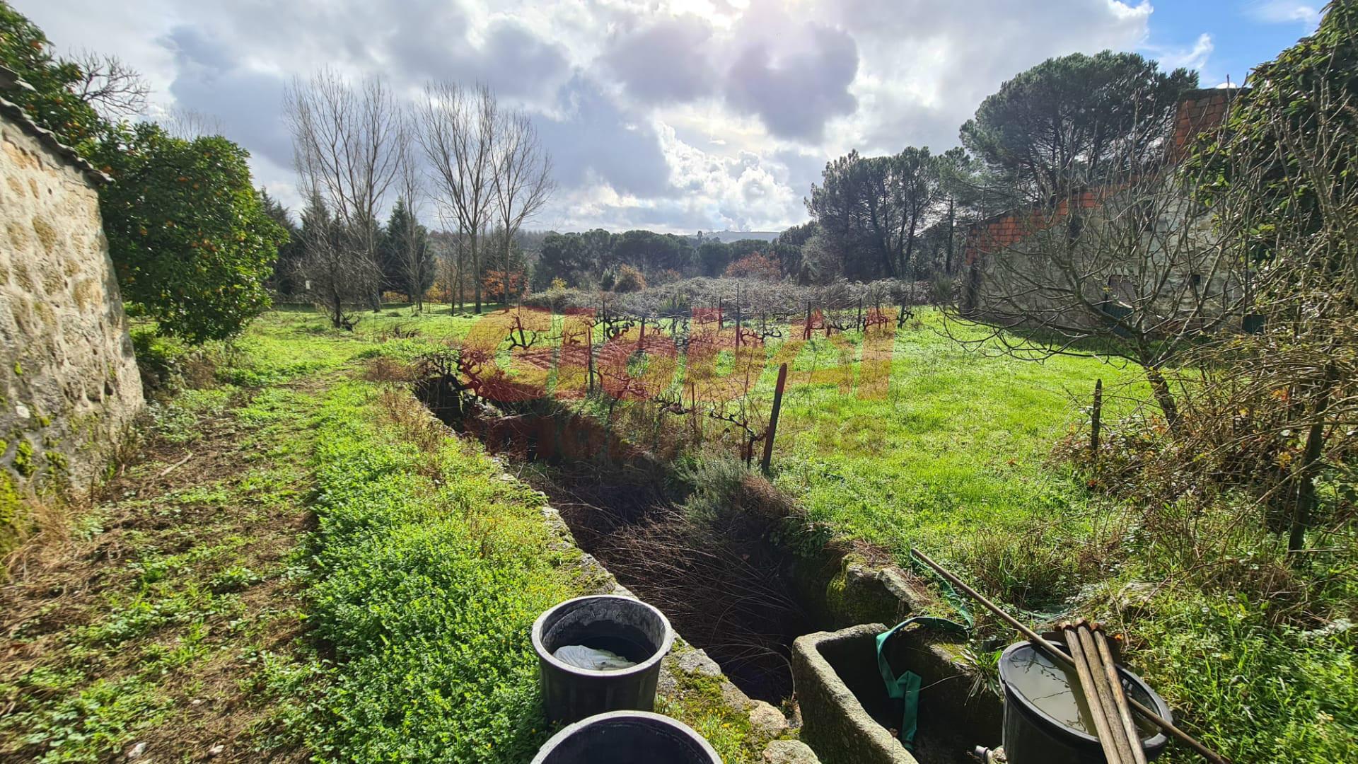 Herdade T3 Venda em Alcafache,Mangualde