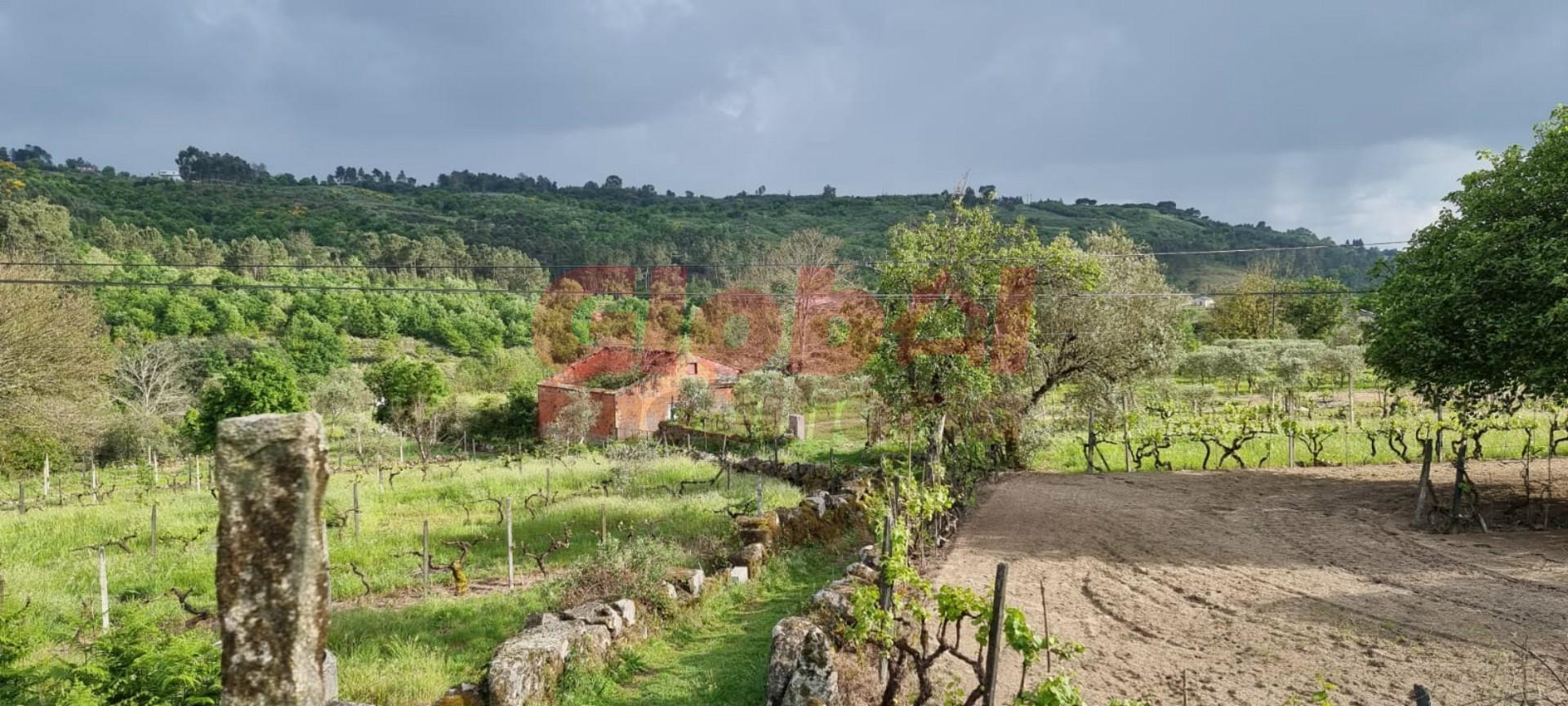 Terreno Para Construção  Venda em Santos Evos,Viseu