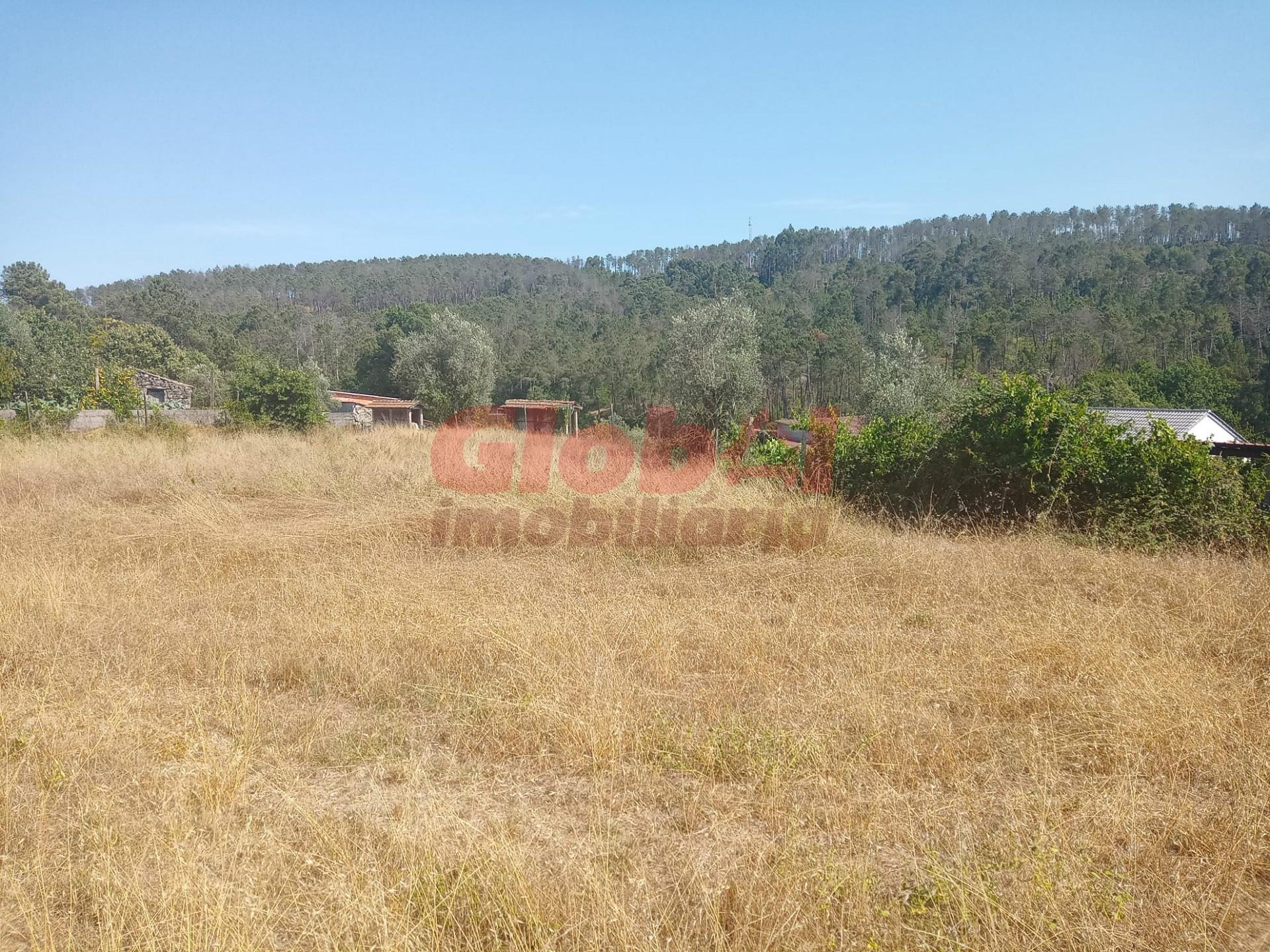 Terreno Para Construção  Venda em Calde,Viseu