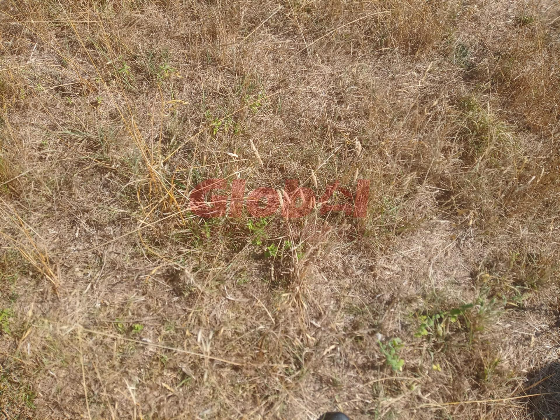 Terreno Para Construção  Venda em Calde,Viseu