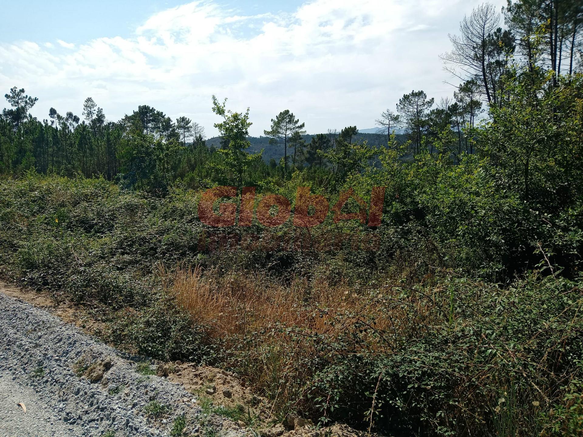 Terreno  Venda em Calde,Viseu