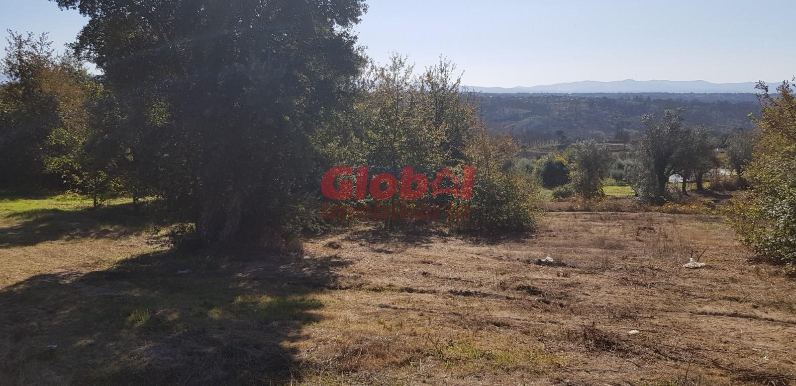 Terreno Para Construção  Venda em Silgueiros,Viseu