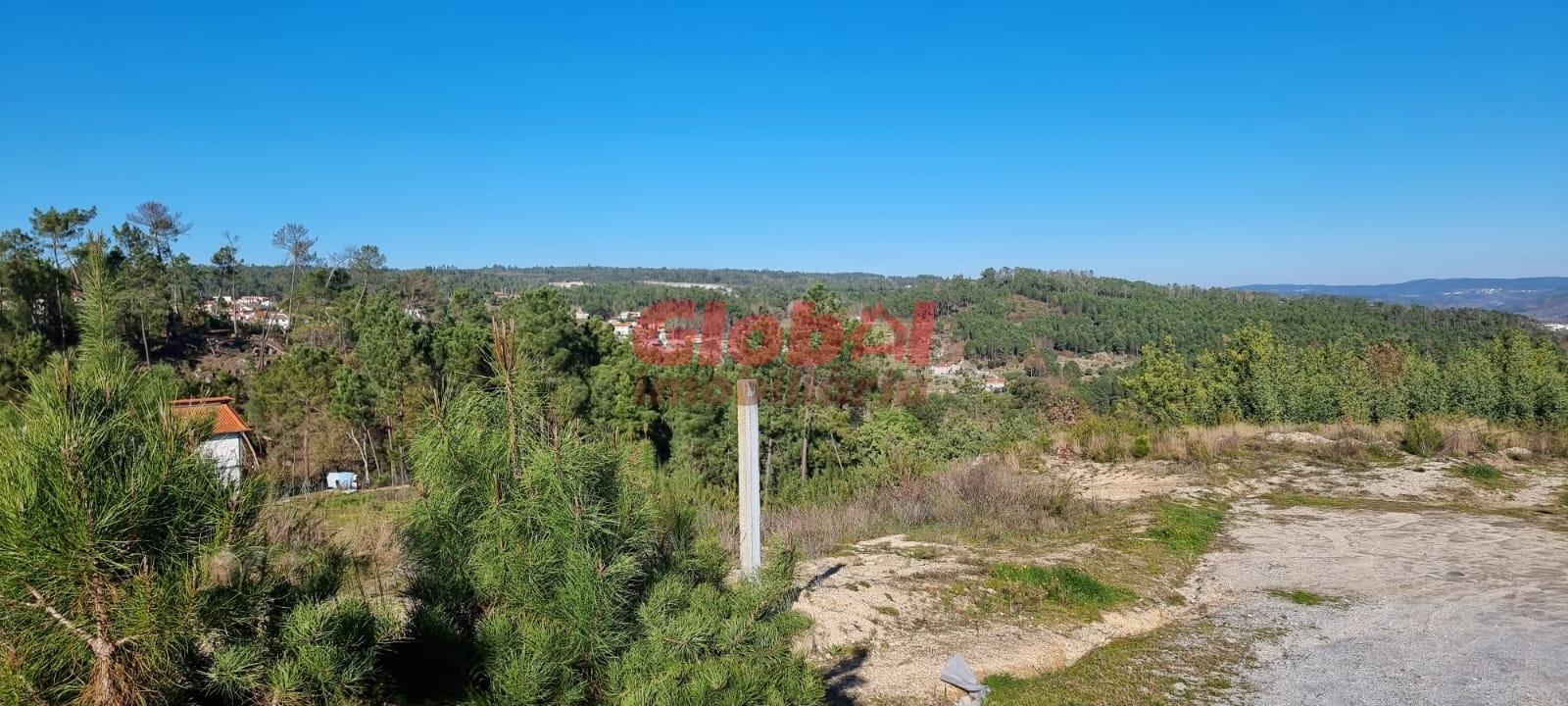 Terreno Para Construção  Venda em Rio de Loba,Viseu