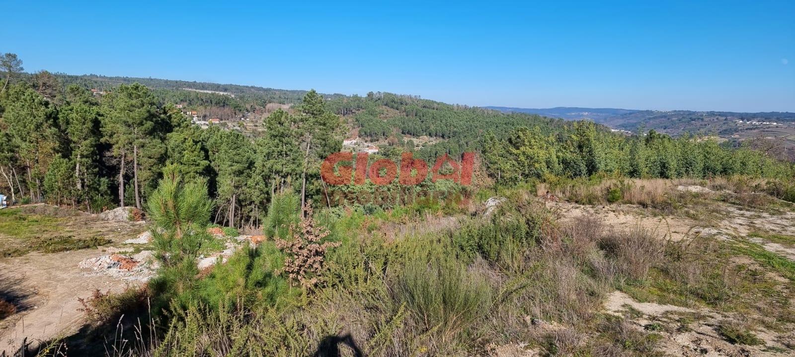 Terreno Para Construção  Venda em Rio de Loba,Viseu